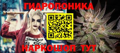 эйфоретик Жуковский