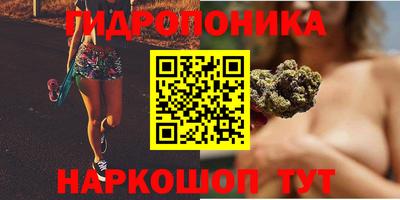 эйфоретик Жуковский