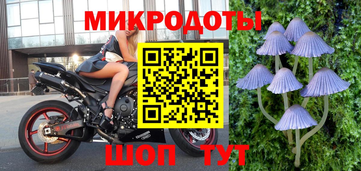 закладки  Вход с VPN  Сухой Лог  Псилоцибиновые грибы мухоморы 